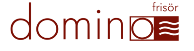 domino Logo web transparent
